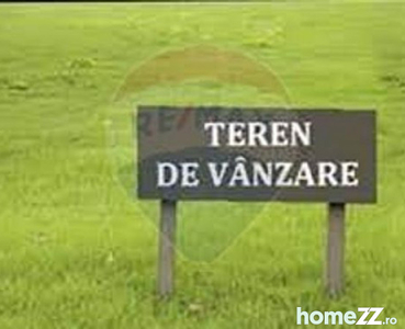 Teren 1