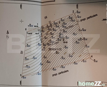 Teren intravilan de 2000 mp in Carcea