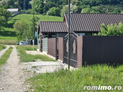 Teren intre case, Hemeiusi str Catinei