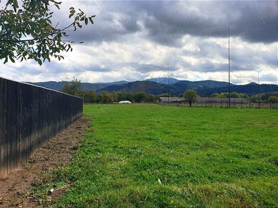 Teren - lot de casa in Cristian - Brasov.