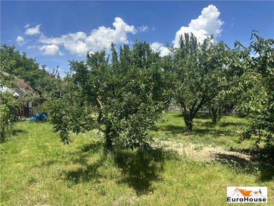 Teren intravilan de vanzare in Ighiu Alba