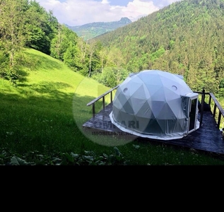 Vând teren, casă și afacere glamping pe Transalpina de Apuseni