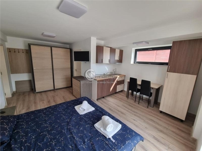 Apartament 1 Camera Bucium - 280 euro