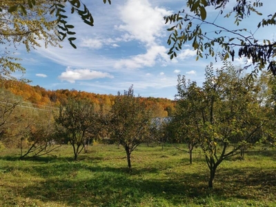 Curte minunata, Bughea de Jos, 5 minute de Valeni de Munte PH