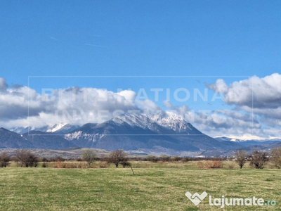 Teren de vanzare, intravilan, 2500 mp, Râșnov - Panicel