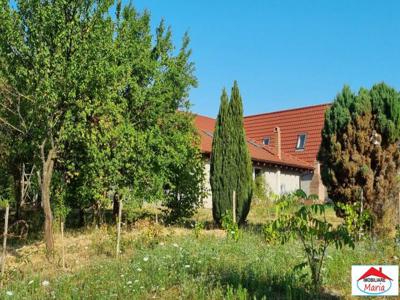 Casa Pensiune in Viile Satu Mare teren 1,63 ha