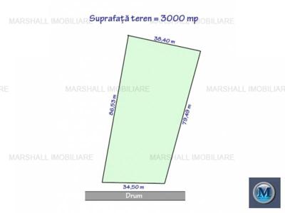 Teren intravilan de vanzare in Paulesti, 3000 mp