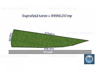 Teren intravilan de vanzare in Paulesti, 9986 mp