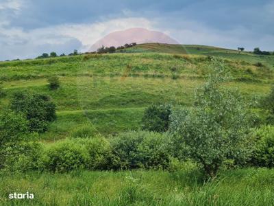 Teren 800mp Floresti / Strada Stejarului