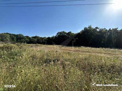 Teren Intravilan, Faget, zona strazii Sfantul Ioan, 3000mp