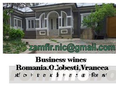 Ferma-gospodarie(vie+padure+teren+casa)*Buy ferma-household(house+land++)Jaristea-Odobesti-Vrancea
