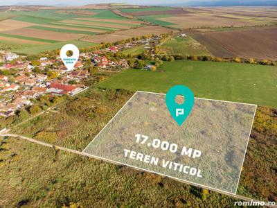 Teren viticol 17000 mp/3 € mp - Șiria