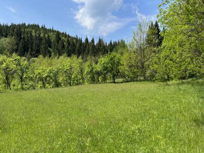 Teren Vladesti, Arges Proprietar