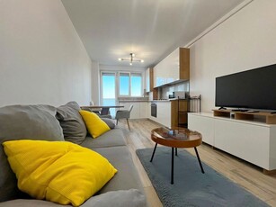 2 camere amenajat modern, zona Torontalului - 450 euro