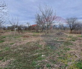 Teren intravilan Giarmata Strada Noua 2300 mp