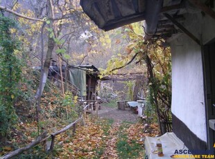 Teren intravilan 20.000mp, cu utilitati si sursa proprie apa, Schei, Brasov