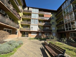 De inchiriat apartament cu o camera -Prima Nufarul