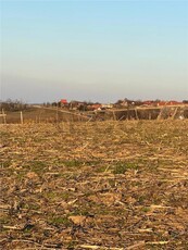 RECO TEREN INTRAVILAN ZONA SALDABAGIU DE MUNTE 2000MP APROAPE DE STRADA ASFALTATA