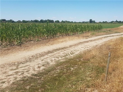 Proprietar vand 1,19 ha teren agricol langa Timisoara