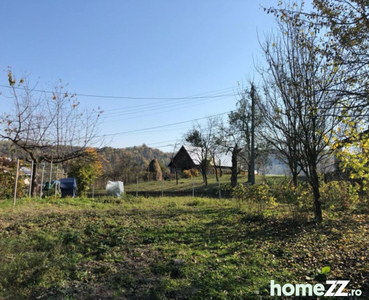 Teren de vânzare în Ocina de Jos