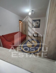 Apartament cu o camera, zona Lipovei