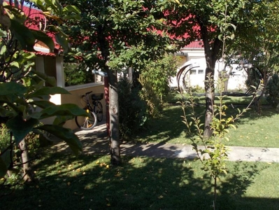 Casa, P+M, Timisoara, Freidorf, langa Alfa, 9 camere, 593mp teren