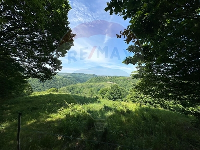 Teren Pădure, Extravilan vanzare, in Maramures, Codru Butesii