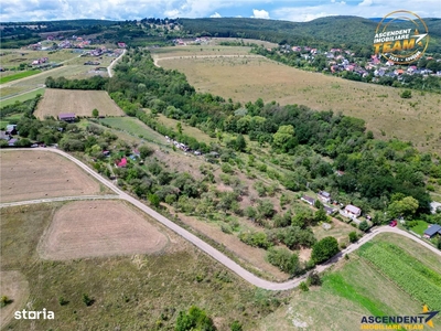 FILM! 4.500 mp,extravilan,livada,in Sancraiu,Covasna,acces facil,pomi