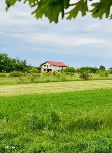 Teren lat 36m, centru, langa Padure si Lac Snagov, utilitati, case noi