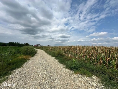 Teren de vanzare in Lilieci, Bacau