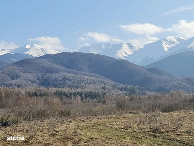 Teren intravilan de vânzare pe Valea Avrigului, 1011 mp