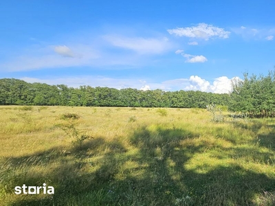 Vanzare teren intravilan, in Pacureti