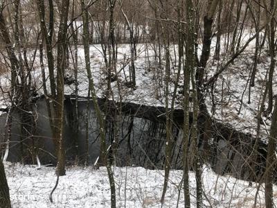 Teren 10.390 mp Gura Humorului - Suceava pt. Cabane A-Frame