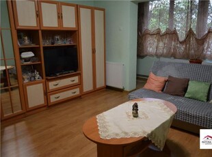 Apartament 1 Camera Mobilat si Utilat de Vanzare Zona Dambu Pietros