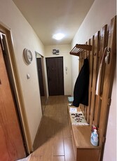 B-dul. Tineretului, Apartament 2 camere,Renovat!