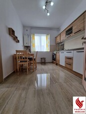 De inchiriat-Apartament 2 camere,Micalaca 100