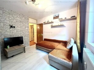 Exclusivitate, Apartament 2 camere de vanzare, Margeanului