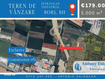 Oportunitate de investitie, Teren intravilan, Bors, Bihor