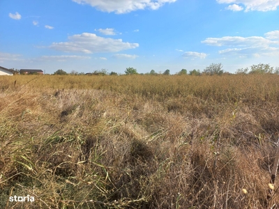 Parcari de vanzare in zona Bazilescu