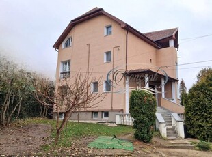 Casa pentru birouri/sediu firma in Andrei Muresanu