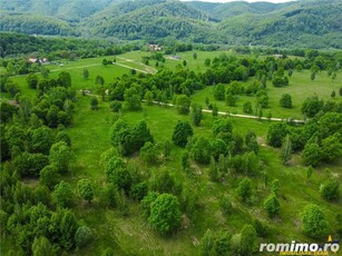 Film! In cadru natural impresionat, 14.000mp, cu destinatie agroturistica, Sinca Noua, Brasov