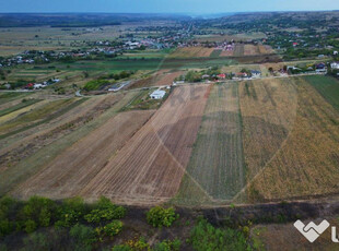 Teren 10.000 mp Simnicul de Sus-Lesile.intravilan