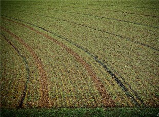 Teren agricol judetul Braila