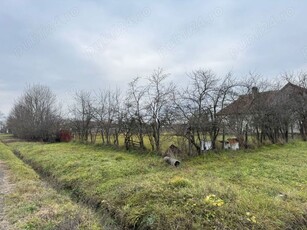 Teren Cheveresu Mare intravilan, suprafata mare de 1486mp, strada asfaltata