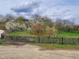 Teren intravilan in Baicoi 1000mp--17.000e