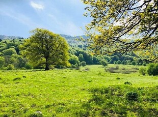 TEREN POTENTIAL TURISTIC - Rasnov - Cheisoara