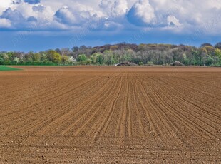 Vand teren agricol 5 ha Masloc