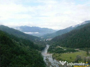 53.000mp intravilan,oaza de liniste si frumusete,Suseni,Gheo