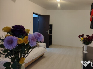 Apartament 2 camere Bvd. Obregia