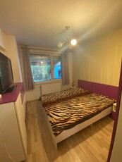 Apartament cu 2 camere, PET FRIENDLY, zona Podu Ros